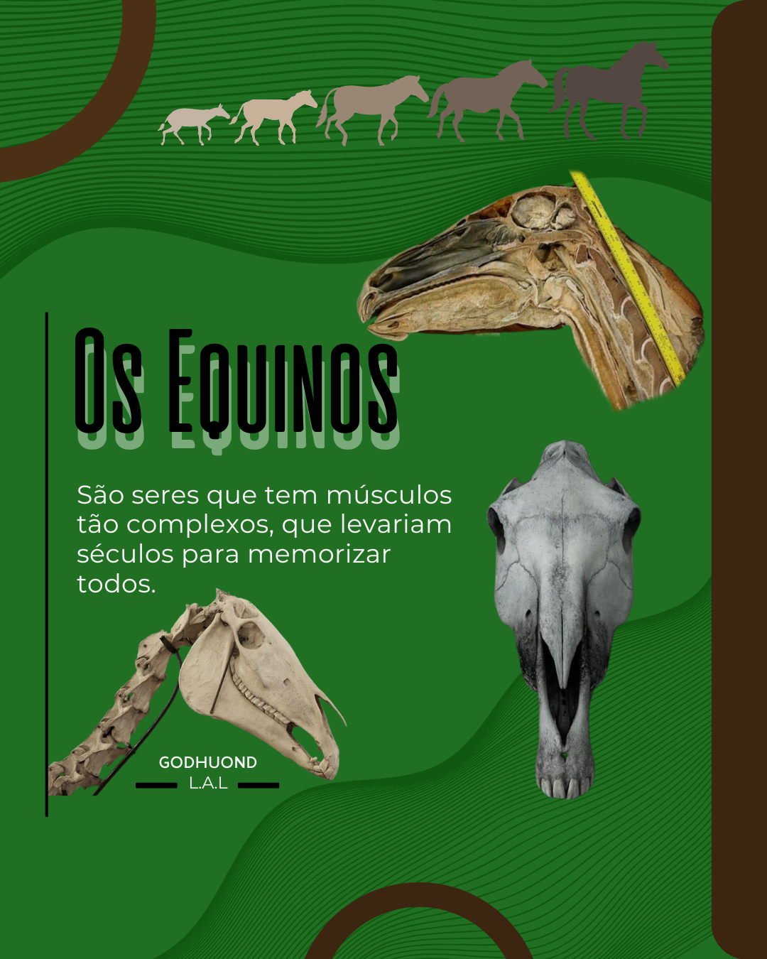 Ciência GodHuond