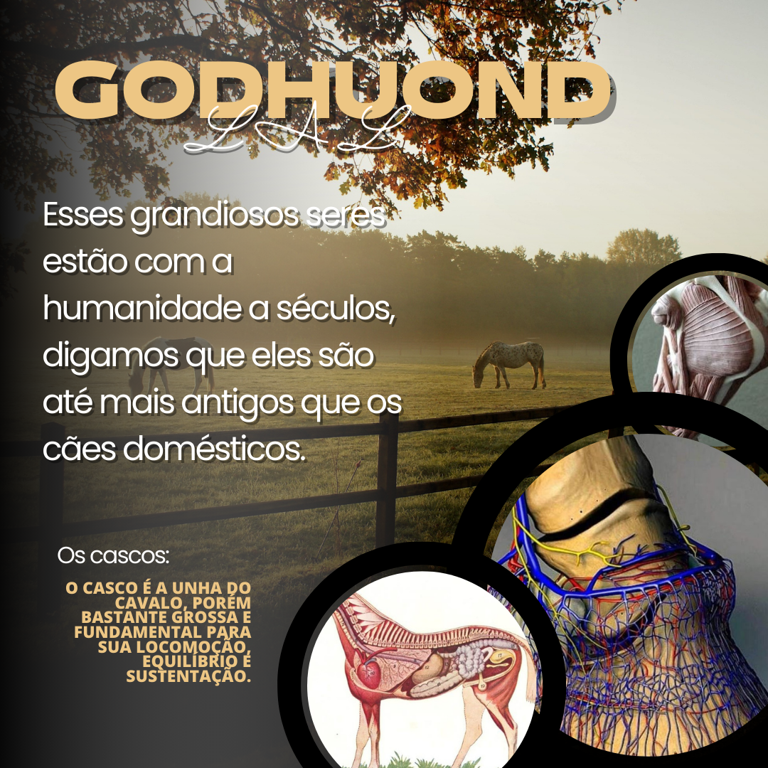 Ciência GodHuond