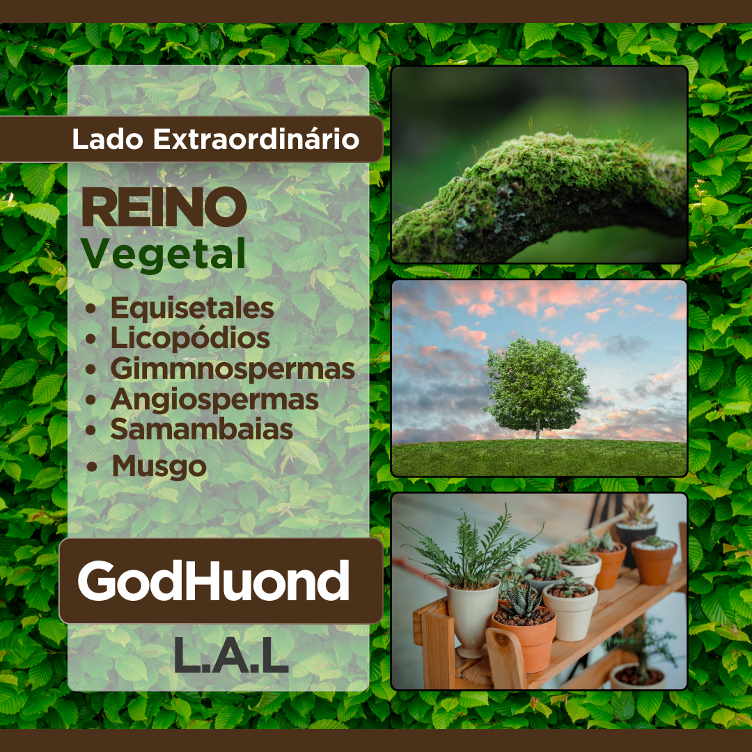 Ciência GodHuond