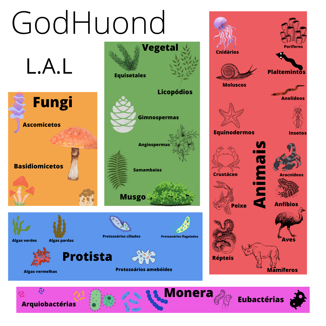 Filosofia GodHuond