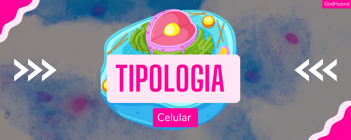 Ciência Narrativa
