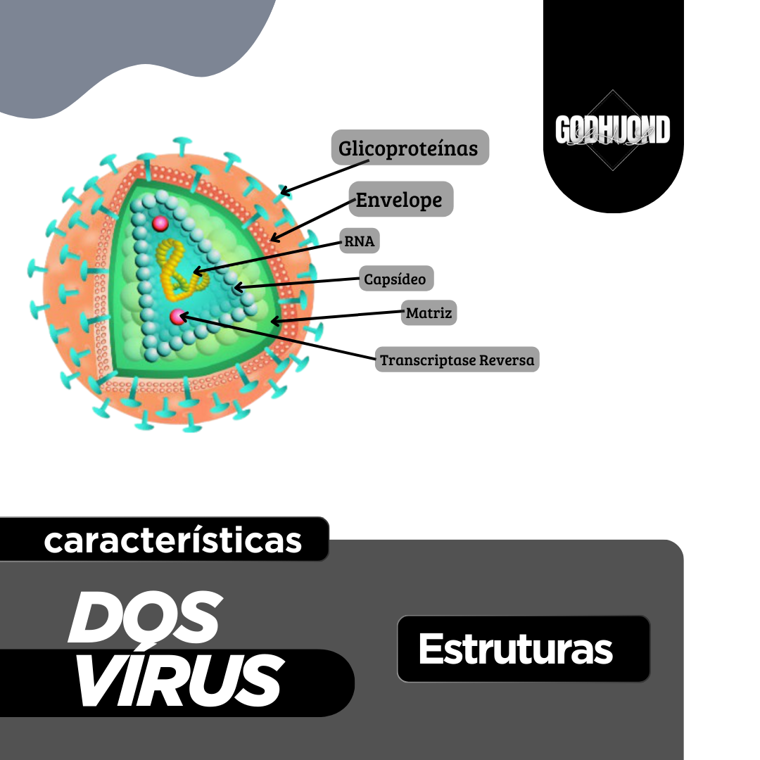 Ciência GodHuond