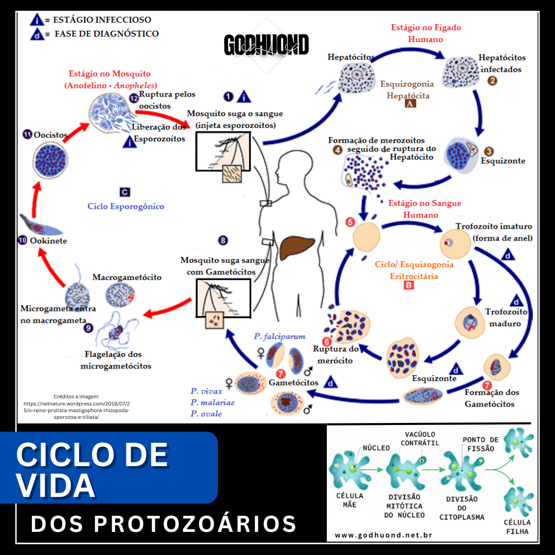 Filosofia GodHuond