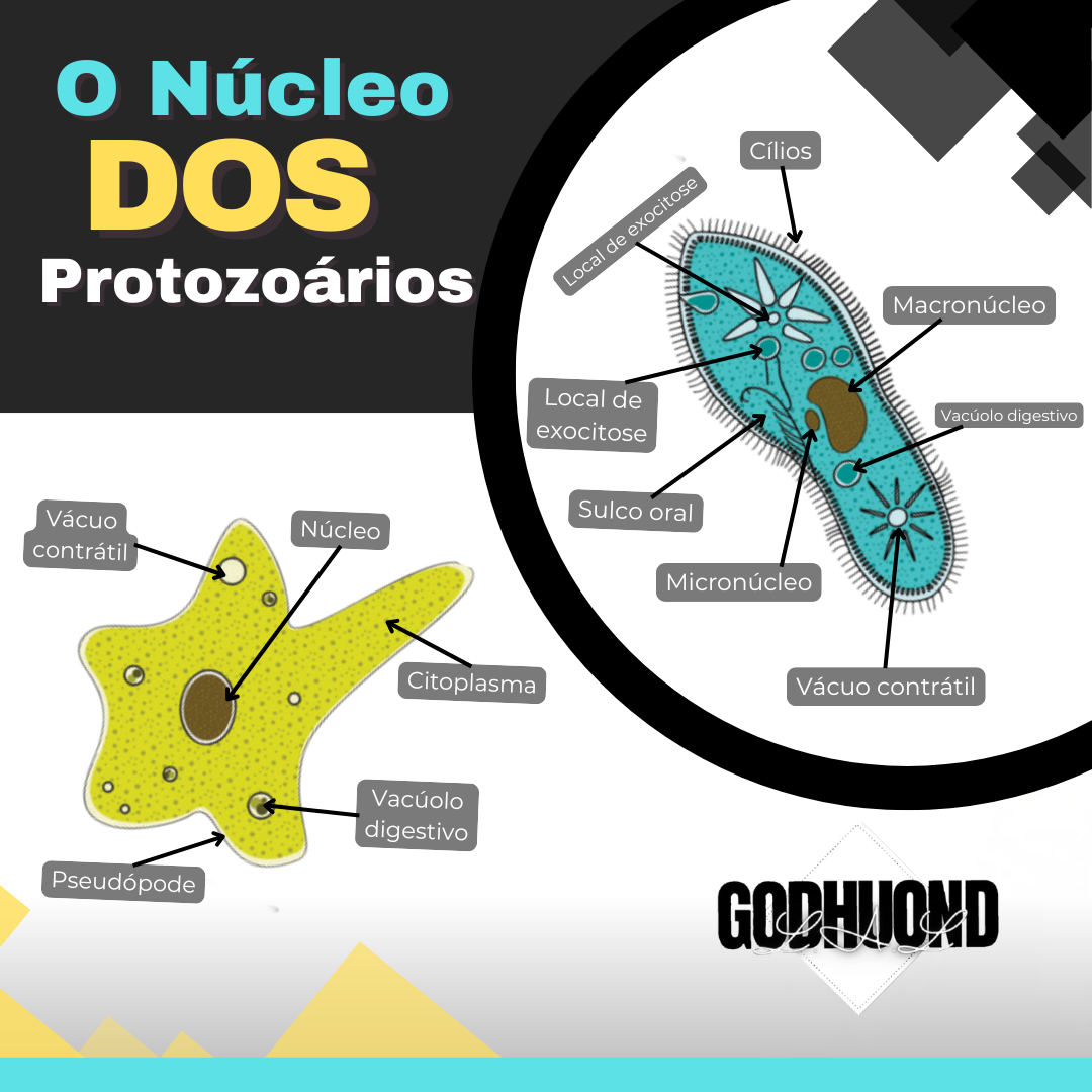 Ciência GodHuond