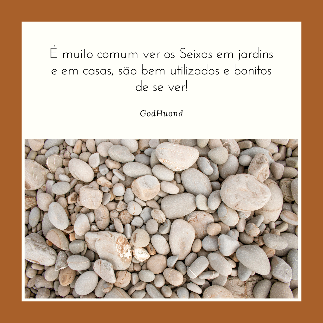 Filosofia GodHuond